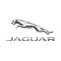Набір автомобіліста для Jaguar
